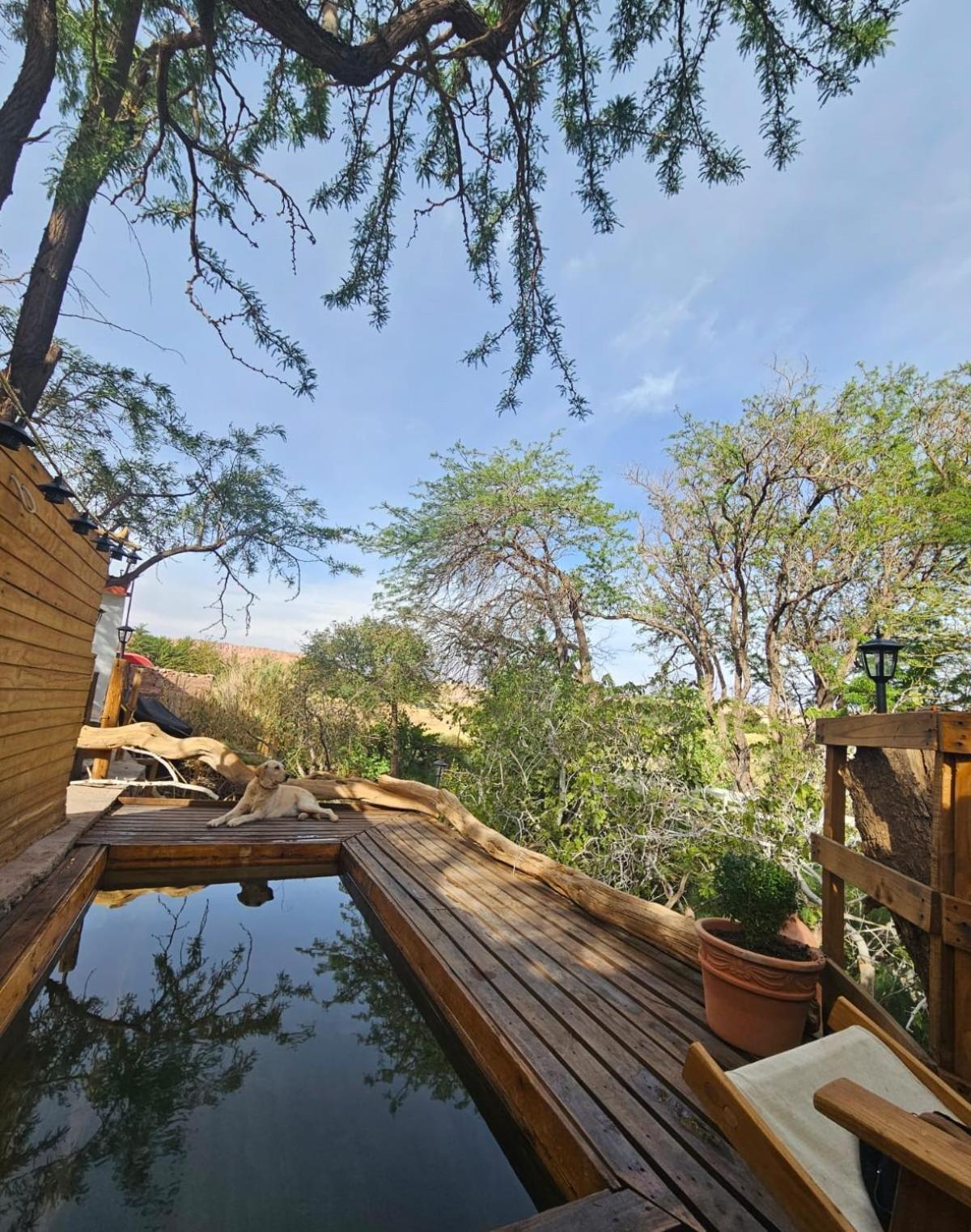 Anka Lodge Quitor 산 페드로 데 아타카마 외부 사진